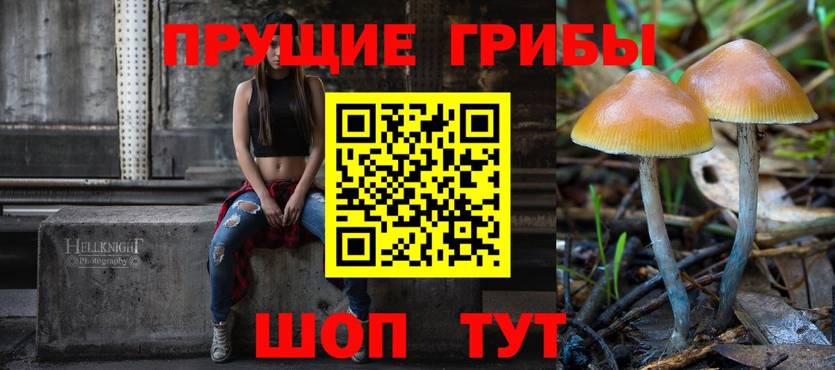 Видное  Псилоцибиновые грибы Cubensis  Галлюциногенные грибы мухоморы  Вход с VPN 
