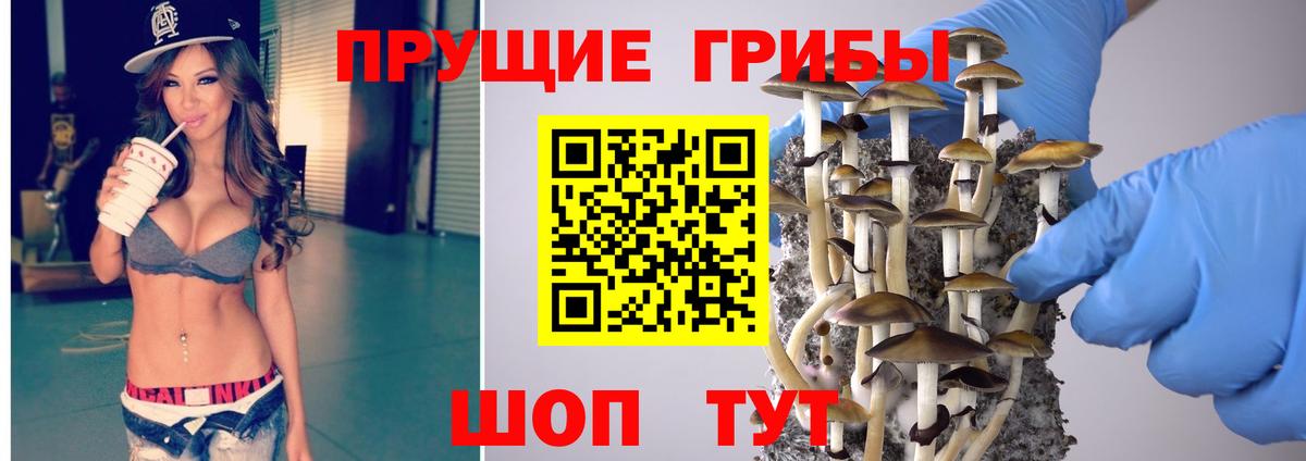 Псилоцибиновые грибы MAGIC MUSHROOMS Видное